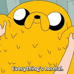 Jake from Adventure Time melting while being held by Jake's hands. Caption: 'Everything's normal.'